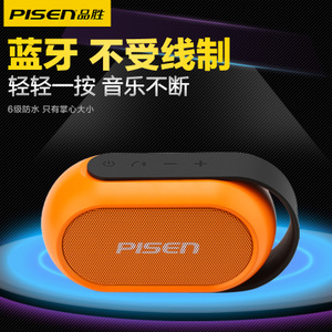 Pisen/品胜 SPK-B002