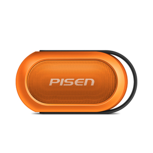 Pisen/品胜 SPK-B002