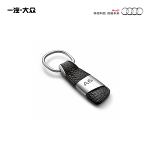 Audi/奥迪 3181400200-A6