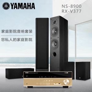 Yamaha/雅马哈 NS-8900