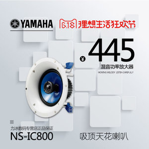 Yamaha/雅马哈 NS-IC800