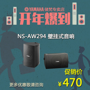 Yamaha/雅马哈 NS-AW294