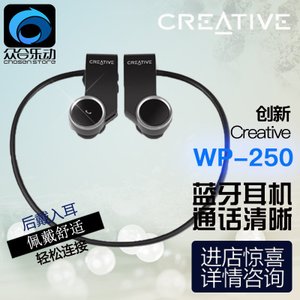 Creative/创新 WP-250
