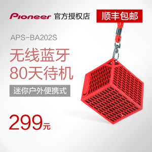 Pioneer/先锋 APS-BA202S