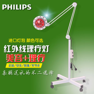 Philips/飞利浦 250W