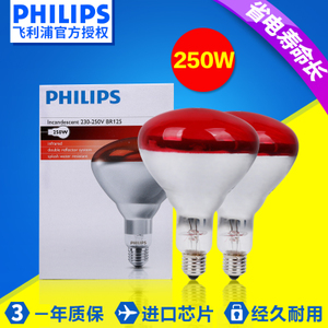 Philips/飞利浦 250W