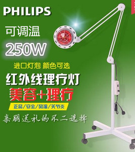 Philips/飞利浦 250W