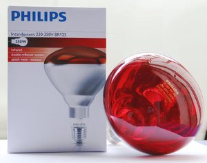 Philips/飞利浦 250W