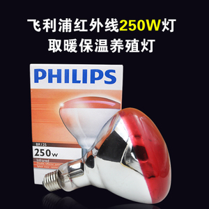 Philips/飞利浦 250W