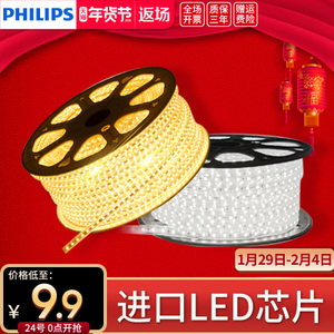 Philips/飞利浦 LED1