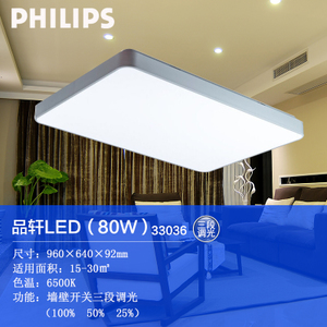 Philips/飞利浦 80Wled