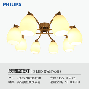 Philips/飞利浦 45616