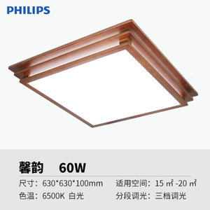 LED60W36500K