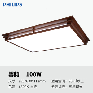 LED100W36500K