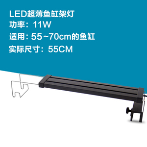 LifeTech/强者 55cm11W