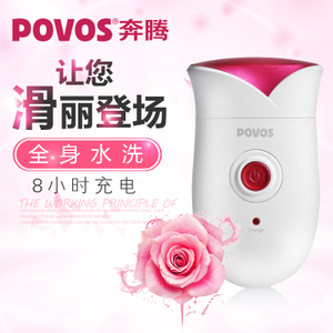 Povos/奔腾 pw302