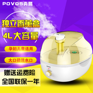 Povos/奔腾 PJ3801