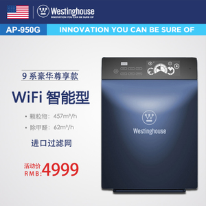 Westinghouse/西屋 AP-950