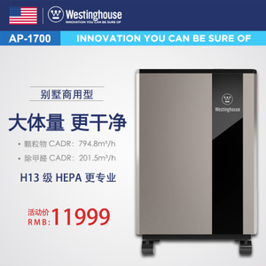 Westinghouse/西屋 AP-1700