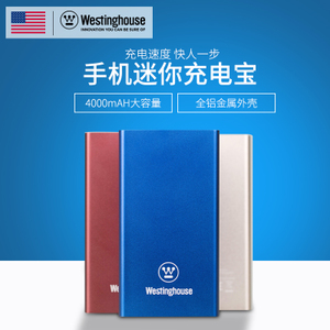 Westinghouse/西屋 WP02-CB