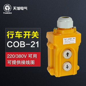 COB-21