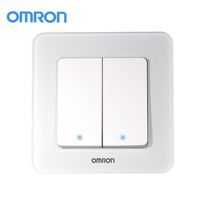 Omron/欧姆龙 C4R-86-2DK-T-B