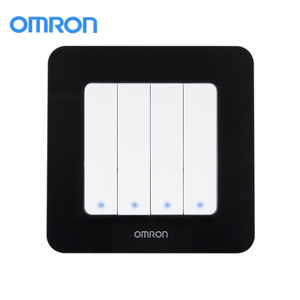 Omron/欧姆龙 C4R-86-4K2-T-H