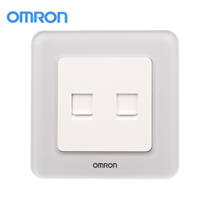 Omron/欧姆龙 C4R-86-2T8-T-B