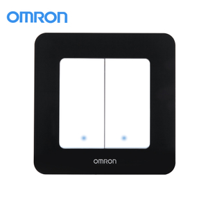 Omron/欧姆龙 C4R-86-2DK-T-H