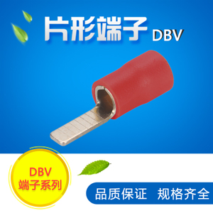 DBV1.25-10
