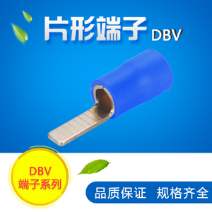 DBV2-10