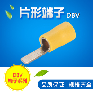 DBV5.5-10