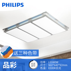 LED80W-6500K