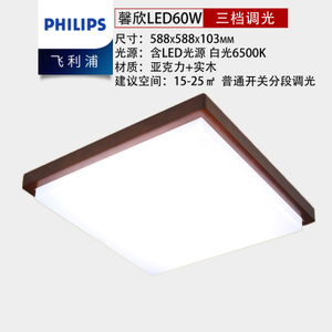 LED60W