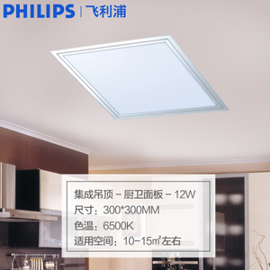 Philips/飞利浦 LED-12W-300300