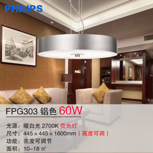 Philips/飞利浦 FPG303