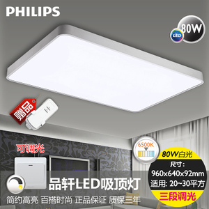 Philips/飞利浦 LED80W6500K