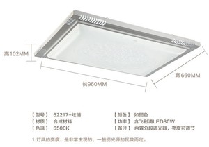 LED80W6500K