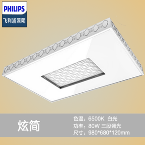 Philips/飞利浦 LED80W6500K