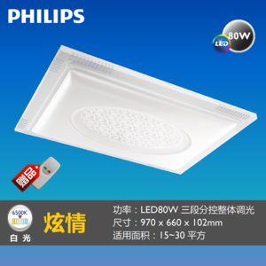 Philips/飞利浦 LED80W6500K