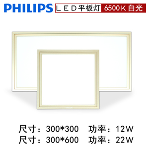 Philips/飞利浦 LED6500K