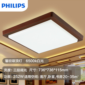 Philips/飞利浦 252W