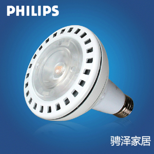 LED-PAR3020W