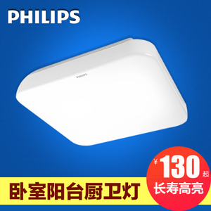 Philips/飞利浦 led17W