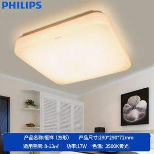 Philips/飞利浦 led17W