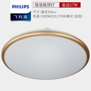 Philips/飞利浦 led17W