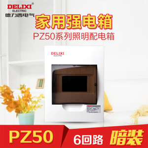 DELIXI ELECTRIC/德力西电气 PZ50-6