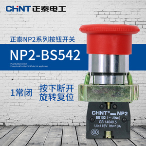 CHNT/正泰 NP2-BS542