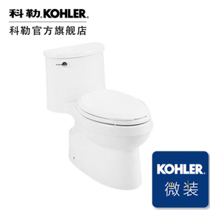 KOHLER/科勒 5171T