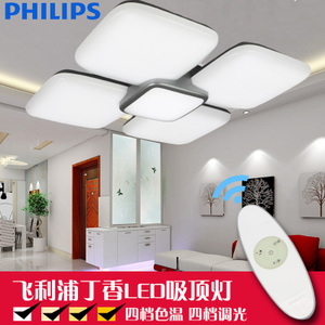 Philips/飞利浦 LED60130